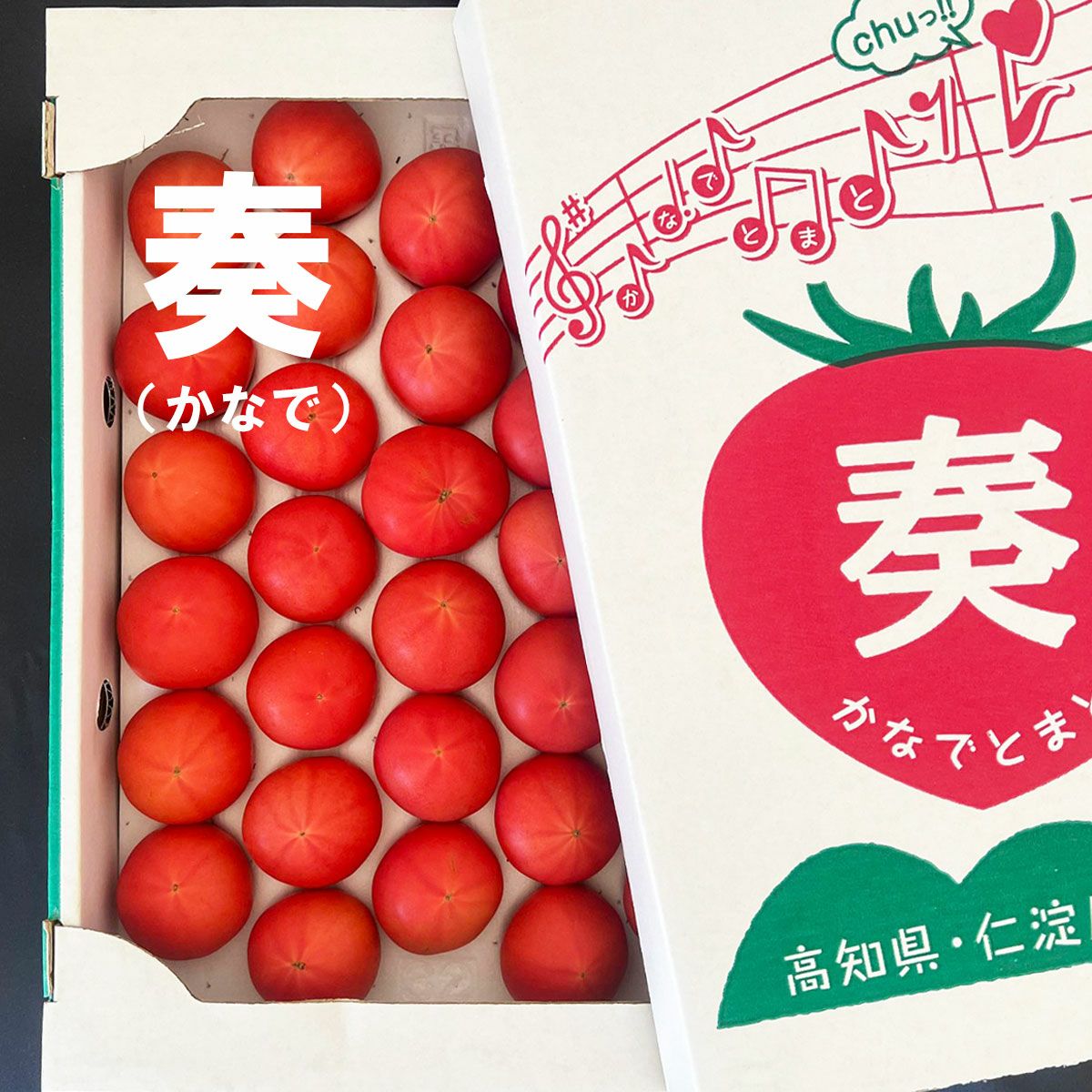 奏トマト約800g【クール送料込】 | 白木果樹園