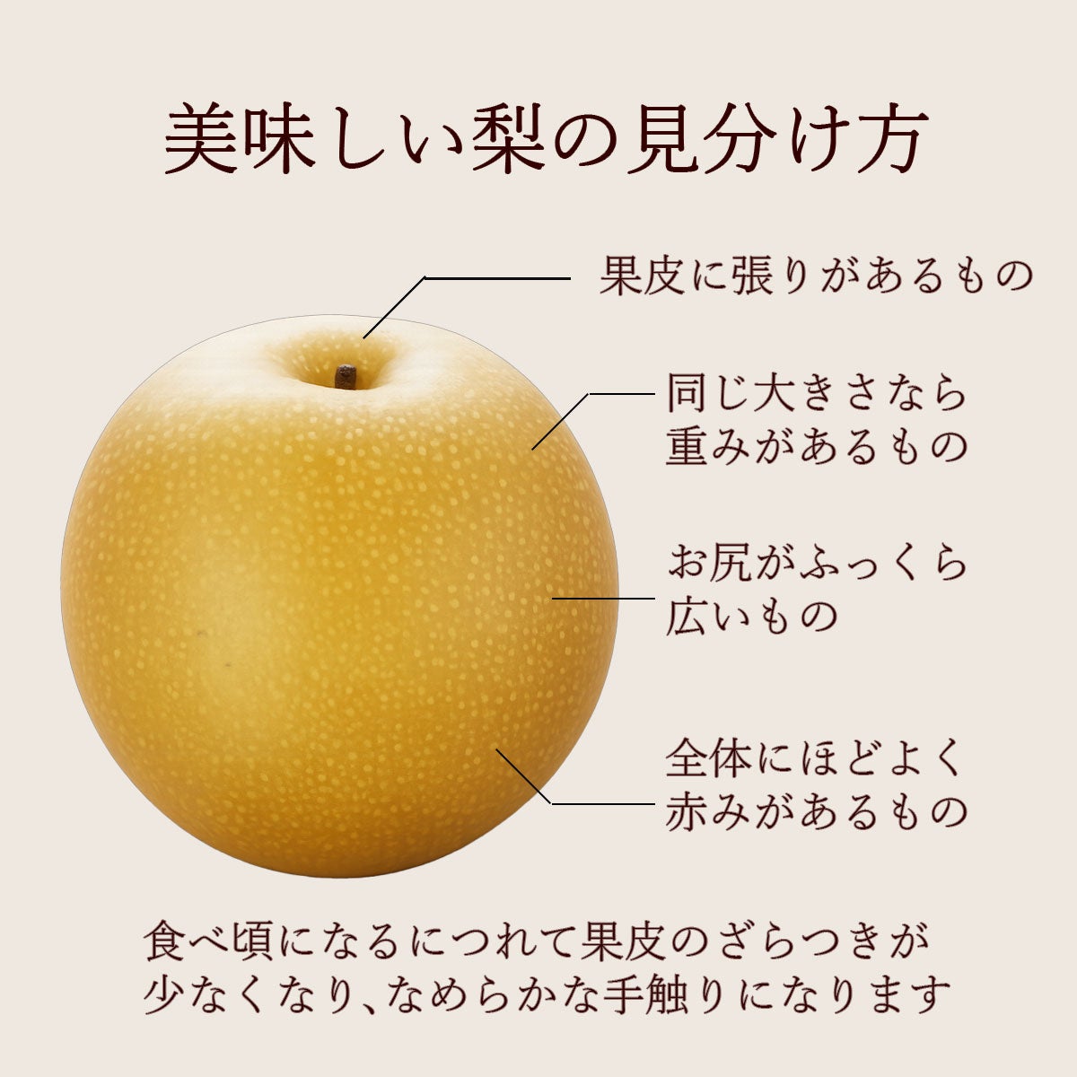 000000000577-07.jpg?size=l&w=