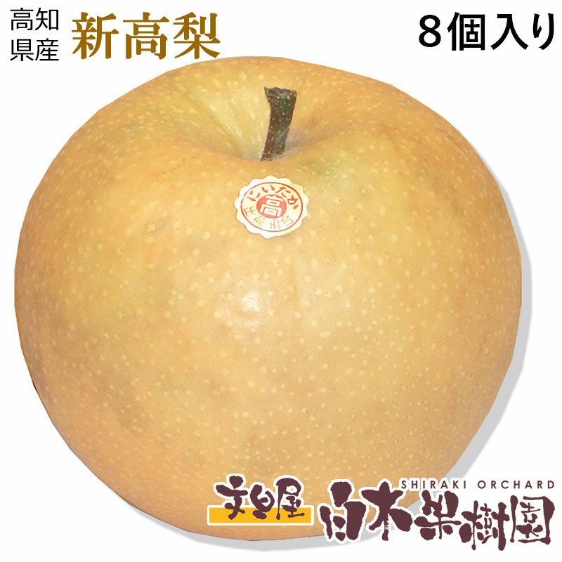特選秀品新高梨小玉8個入り【送料込】 | 白木果樹園