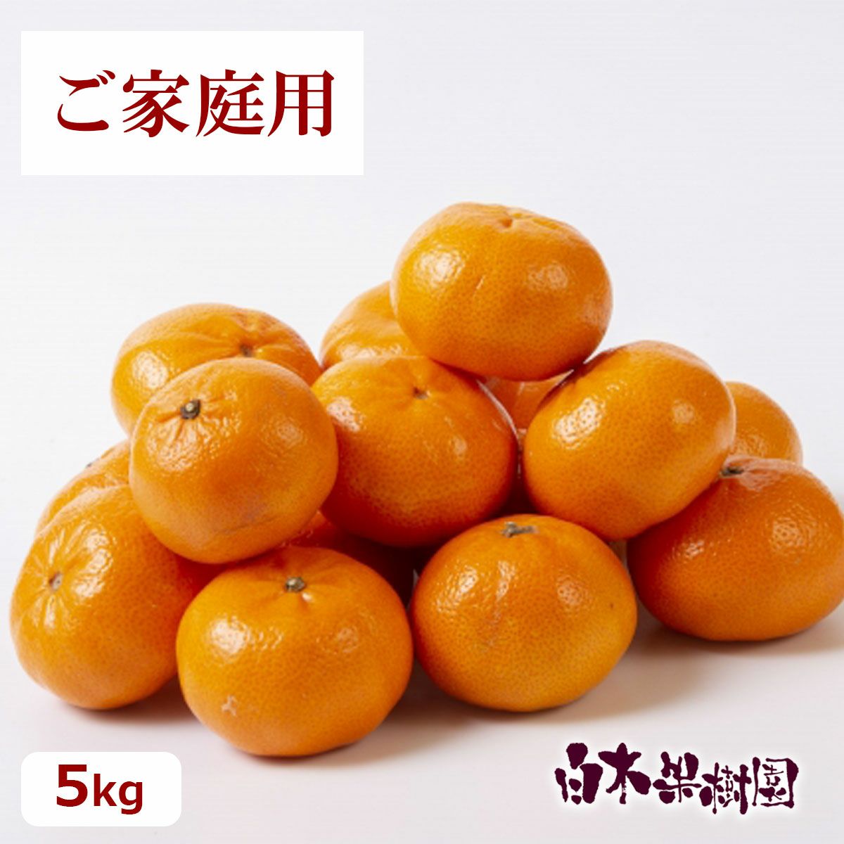 訳あり ご家庭用温州みかん（おきつ）約5kg【送料込】 | 白木果樹園