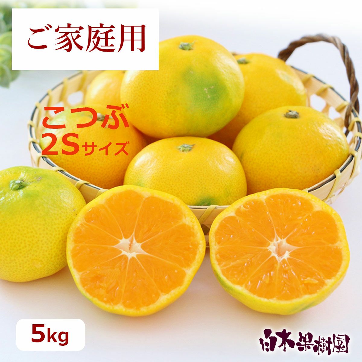 温州みかんこつぶ2Sサイズ約5kg【送料込】 | 白木果樹園
