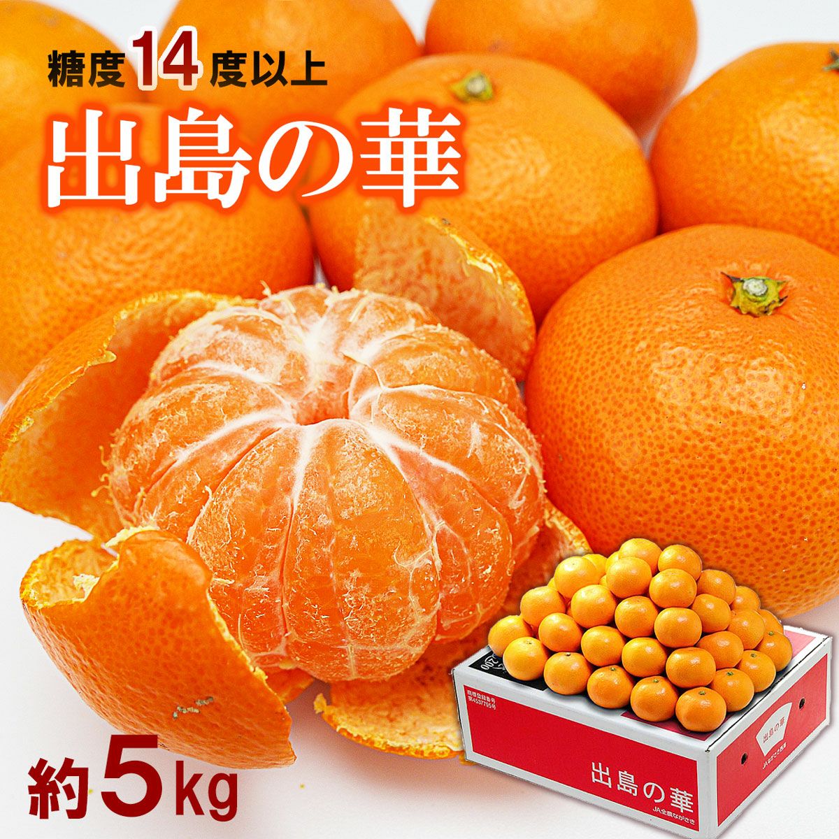 数量限定】出島の華2Sサイズ約5kg【送料込】 レビュー | 白木果樹園