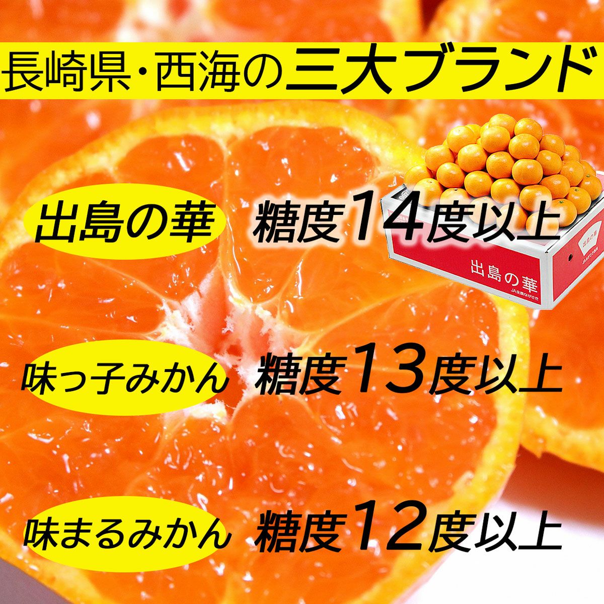 数量限定】出島の華2Sサイズ約5kg【送料込】 | 白木果樹園