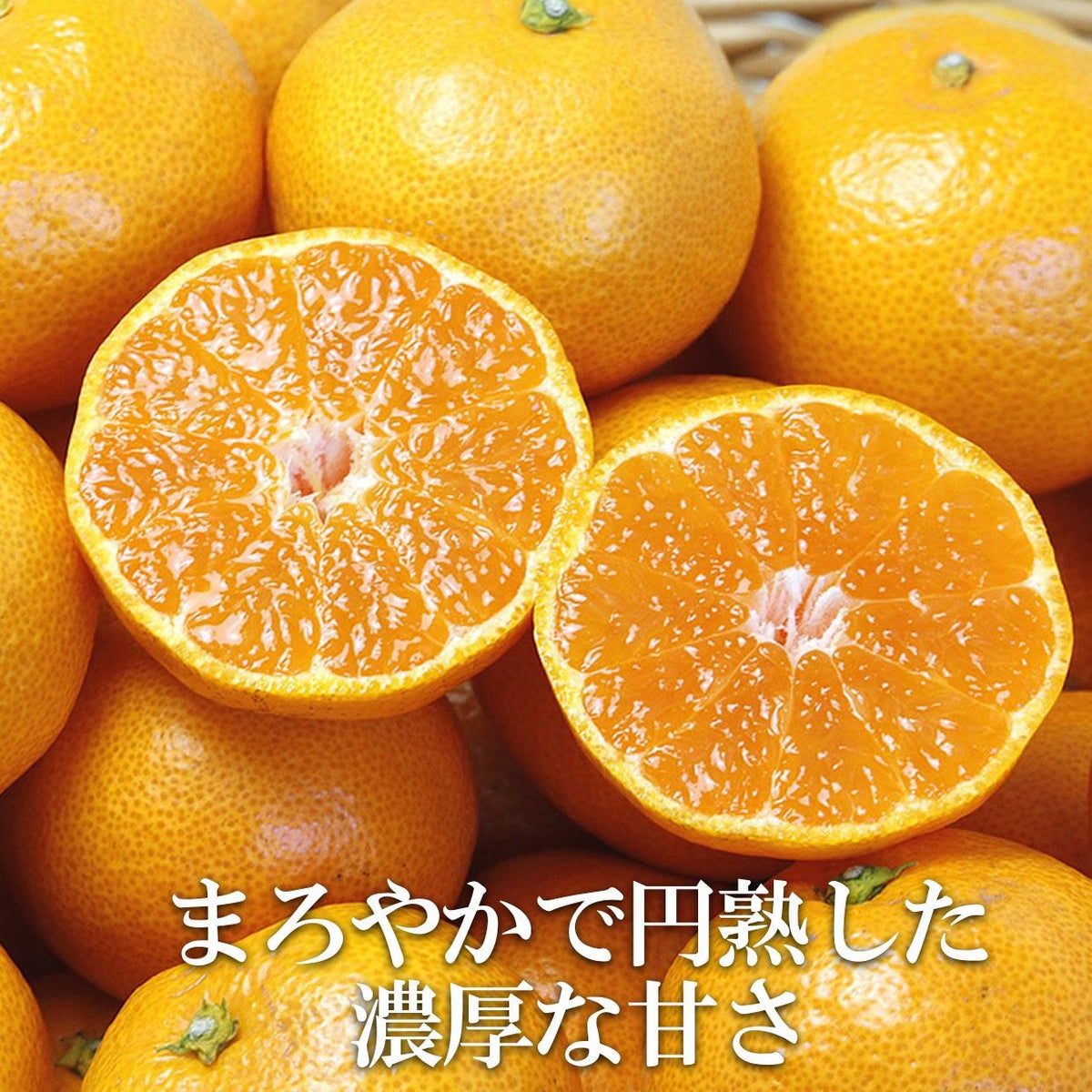温州みかん
