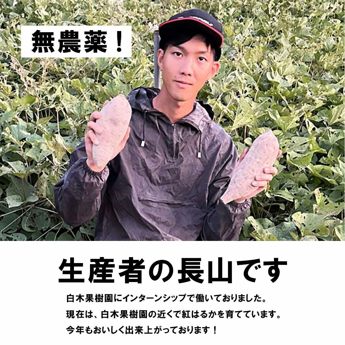 000000000586-02.jpg?size=l&w=