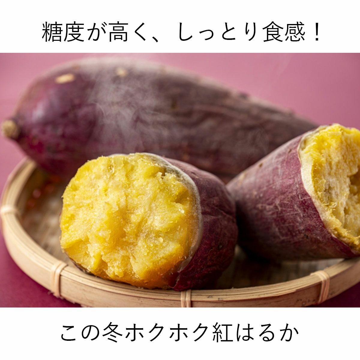 2026年産＞紅はるか（さつま芋）約2kg、4kg、8kg【送料込】 | 白木果樹園