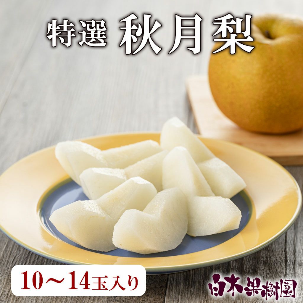 特選秀品秋月梨約5kg10～14玉入り【送料込】 | 白木果樹園