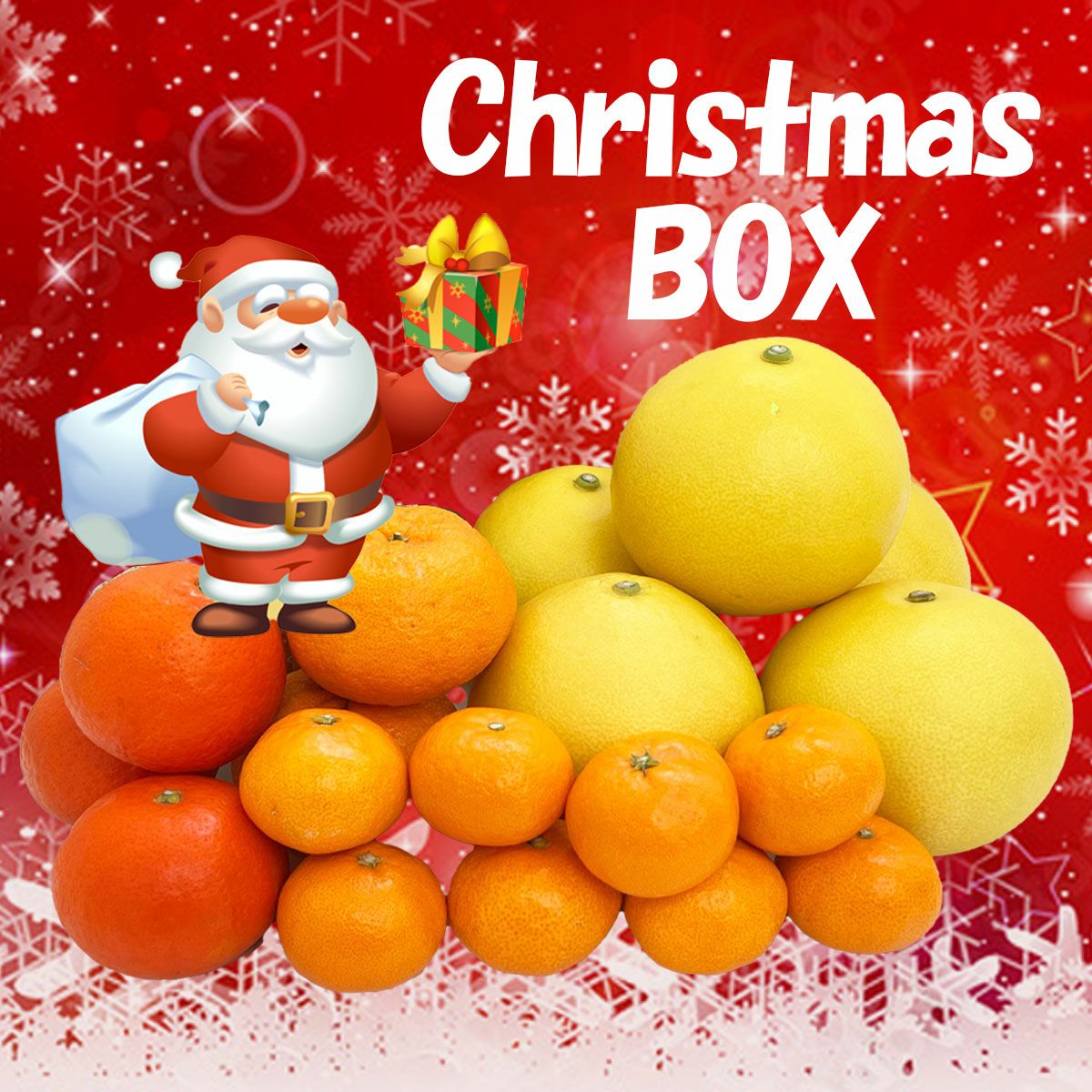 クリスマスBOX（中）【期間限定品】【送料込】 | 白木果樹園