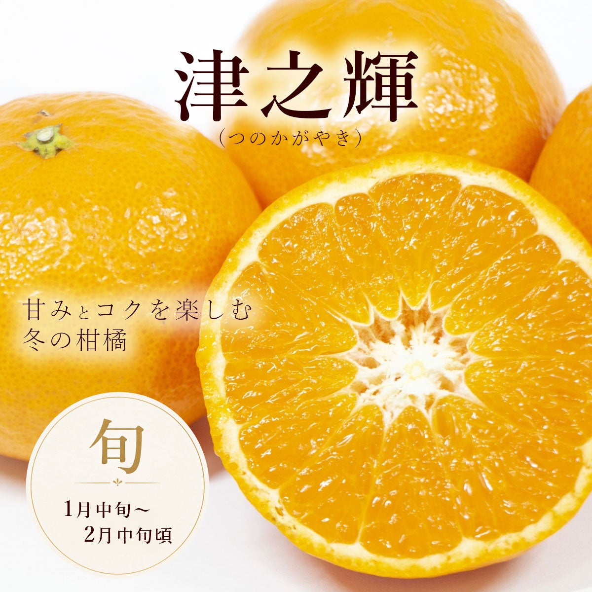 20％OFF＞【セール品】津之輝（つのかがやき）ご家庭用 M～2Lサイズ約