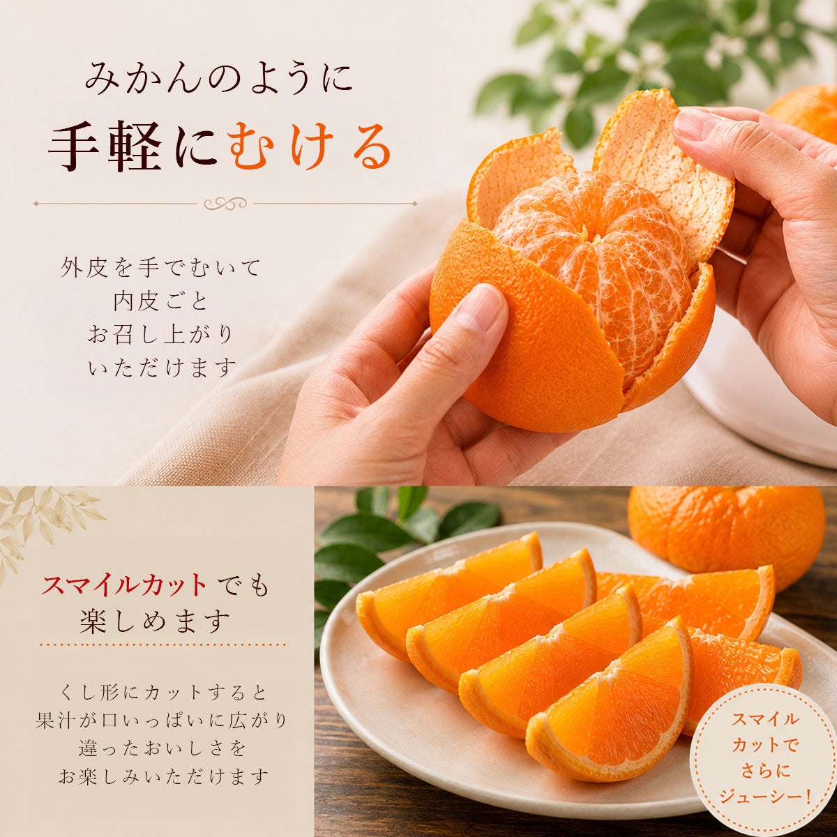 20％OFF＞【セール品】津之輝（つのかがやき）ご家庭用 M～2Lサイズ約
