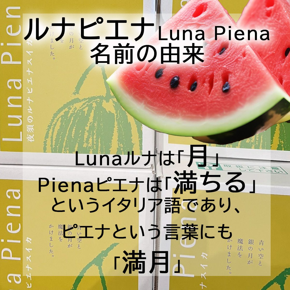 ルナピエナスイカ大玉2玉入り【送料込】 | 白木果樹園