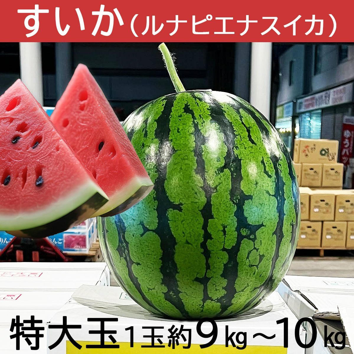 ルナピエナスイカ大玉2玉入り【送料込】 | 白木果樹園