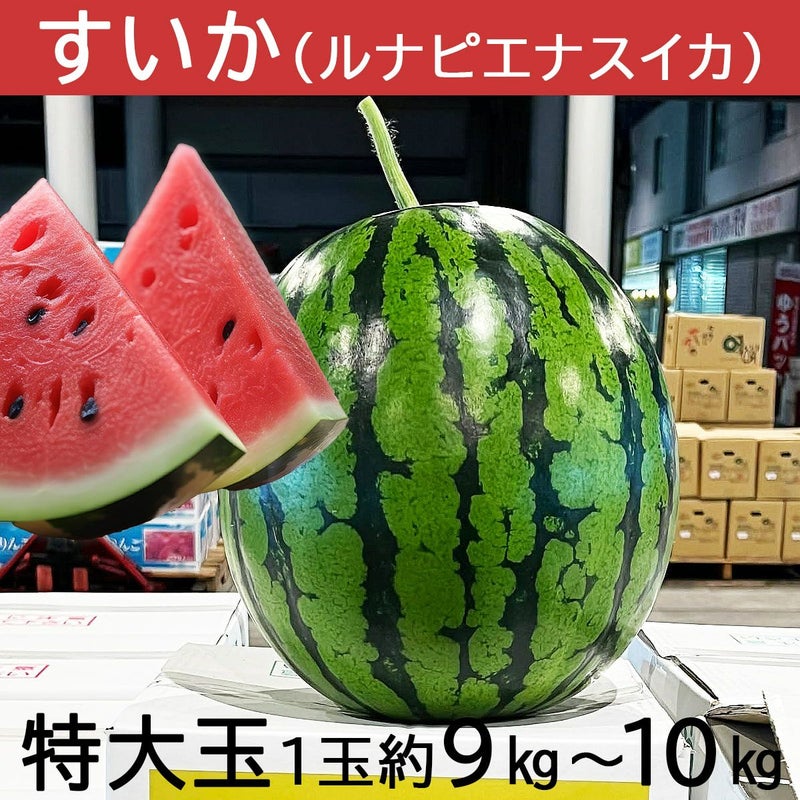 特大玉1玉約9～10kg