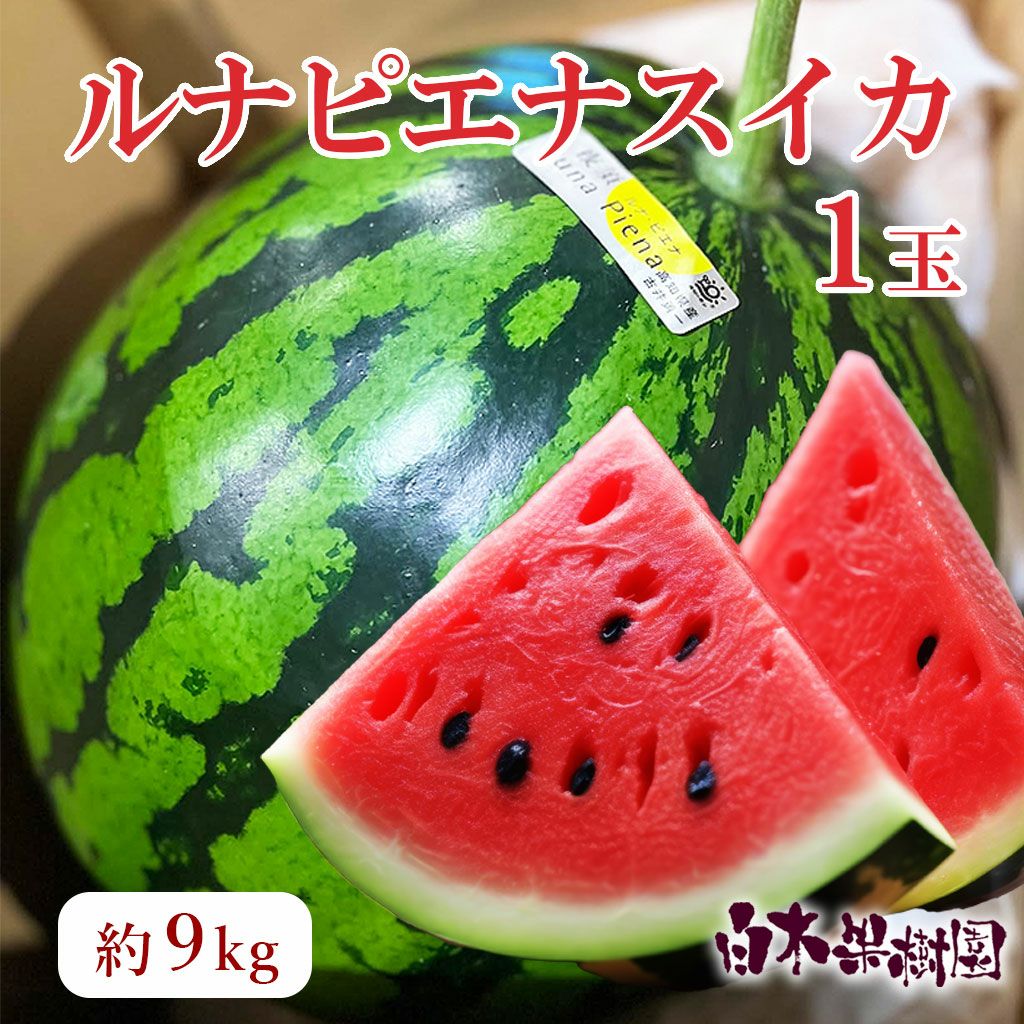 ルナピエナスイカ1玉