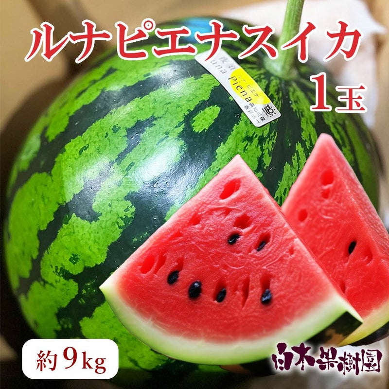 ルナピエナスイカ1玉