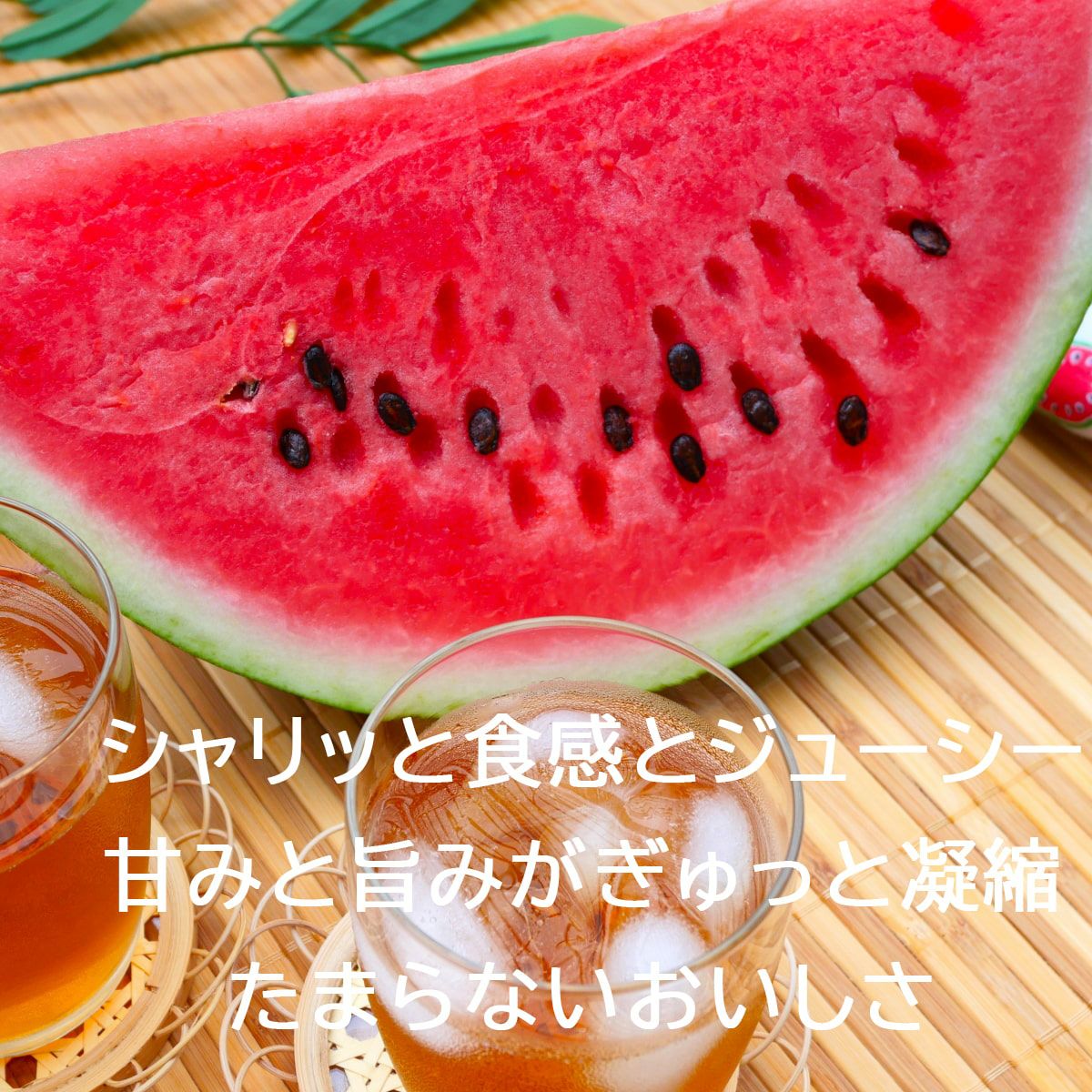 ルナピエナスイカ大玉1玉入り【送料込】 | 白木果樹園