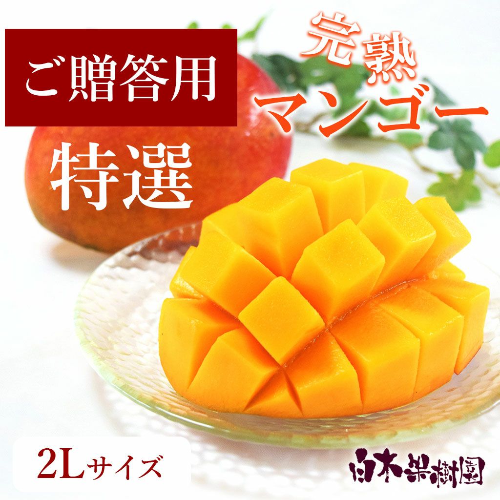 ご贈答用　特選秀品　完熟マンゴー　2Lサイズ　2個入り