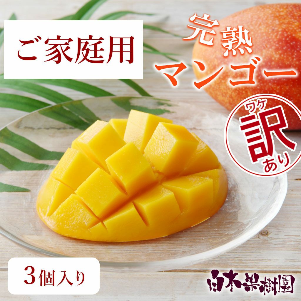 訳あり家庭用完熟マンゴー 3個入りS～Lサイズ【クール送料込】 | 白木