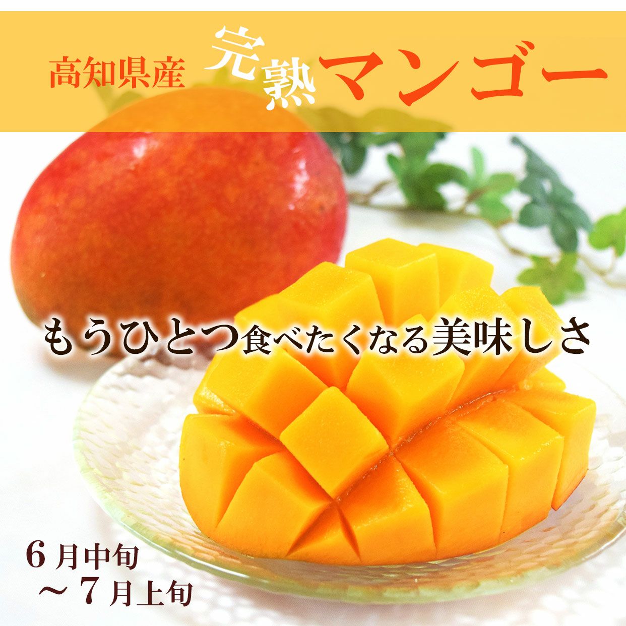甘いグリーンマンゴー 5キロ クール便込み 楽天市場】台湾 マンゴー 5kgの通販