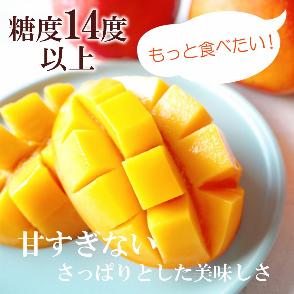 訳あり家庭用完熟マンゴー 3個入りS～Lサイズ【クール送料込】 | 白木