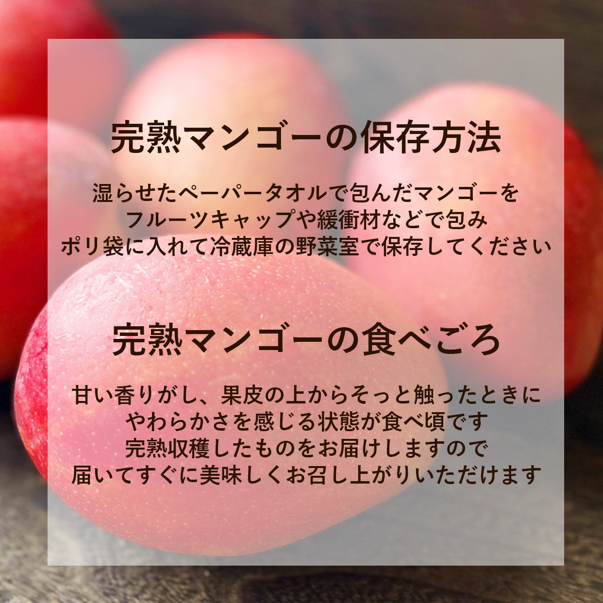 訳あり家庭用完熟マンゴー 3個入りS～Lサイズ【クール送料込】 | 白木