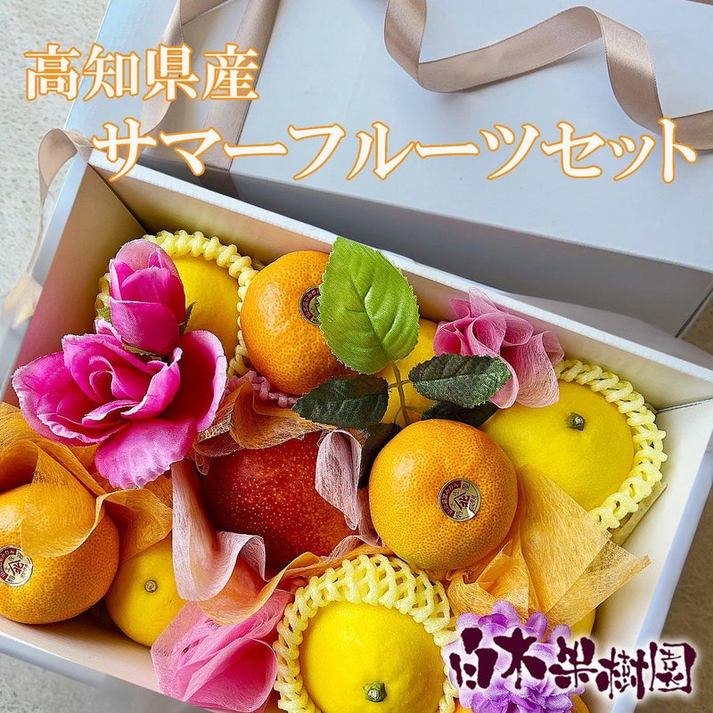 サマーフルーツセット