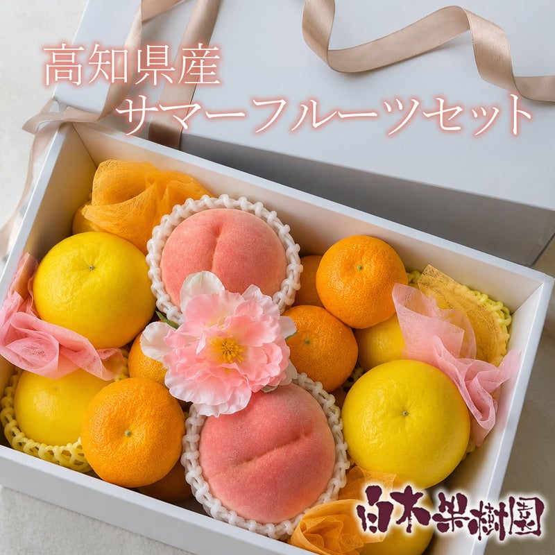 サマーフルーツセット
