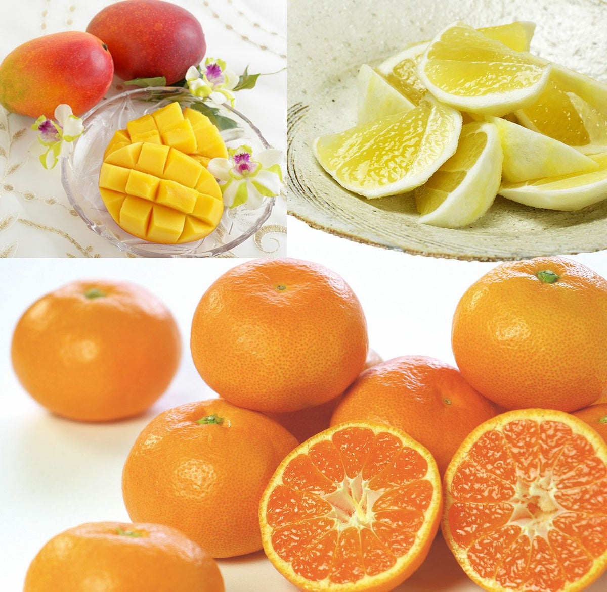 マンゴーと小夏とハウスみかんのギフトセット