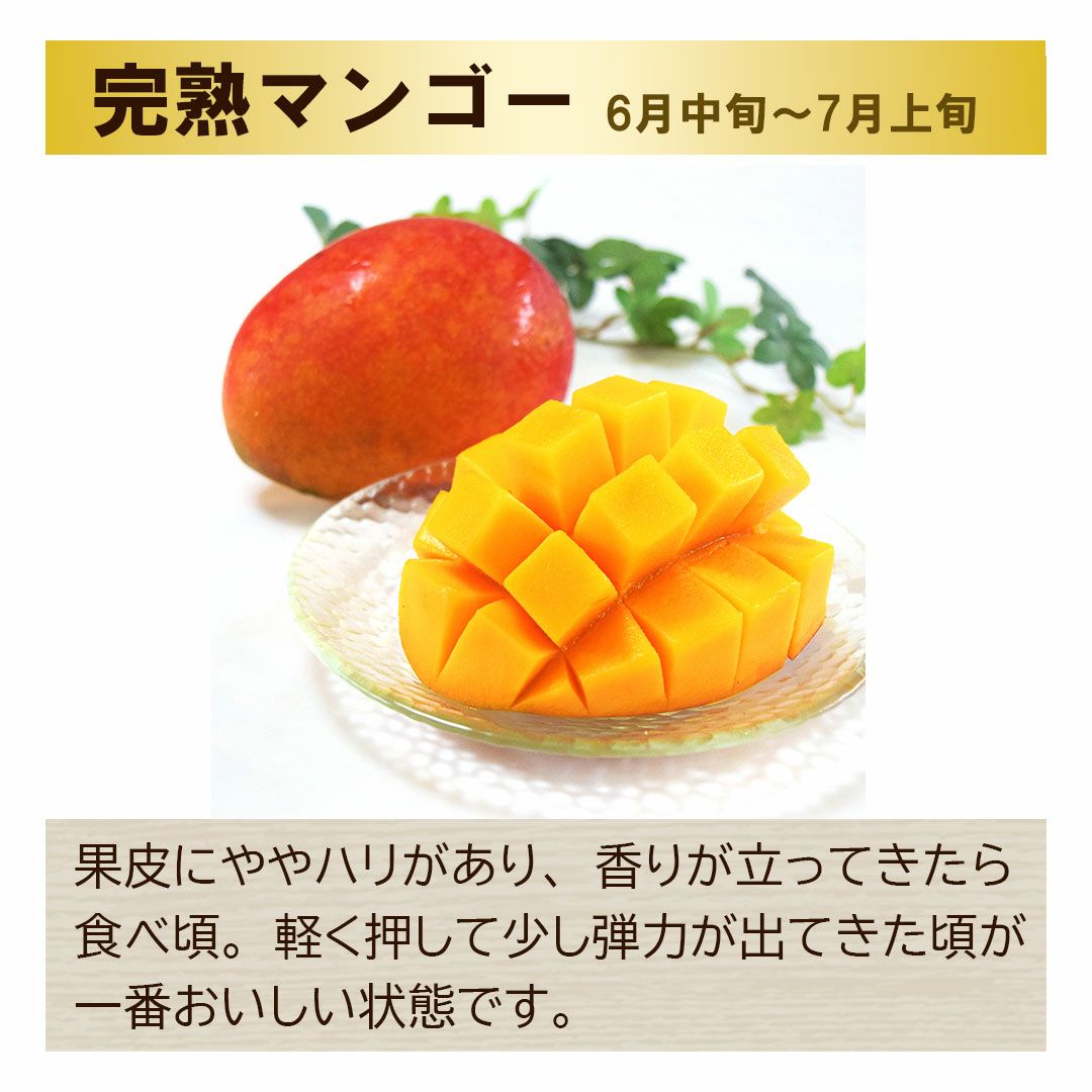 完熟マンゴー