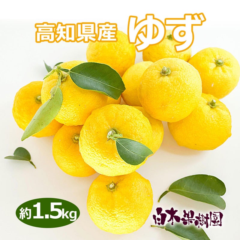 高知県産ゆず　約1.5kg