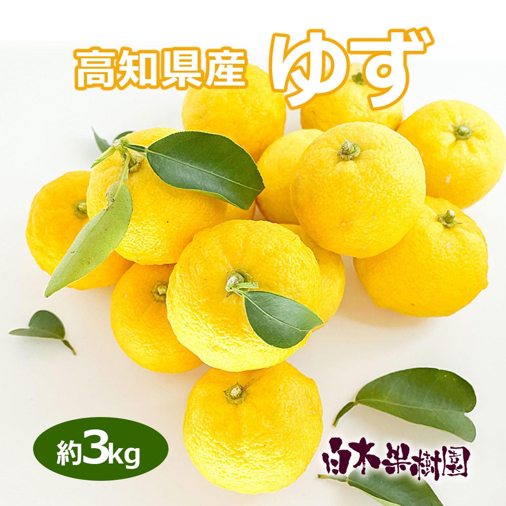 高知県産柚子　約3kg