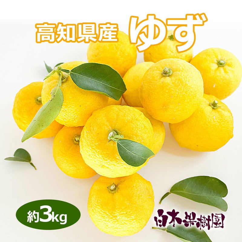 高知県産柚子　約3kg