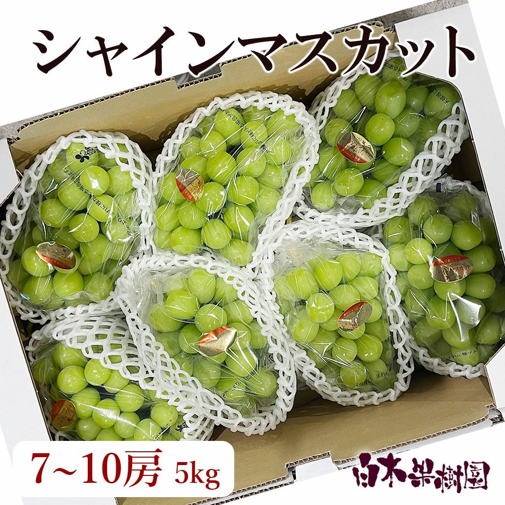 特選秀品シャインマスカット1房 約0.6kg。2房 1.2kg7～10房 5kg【送料
