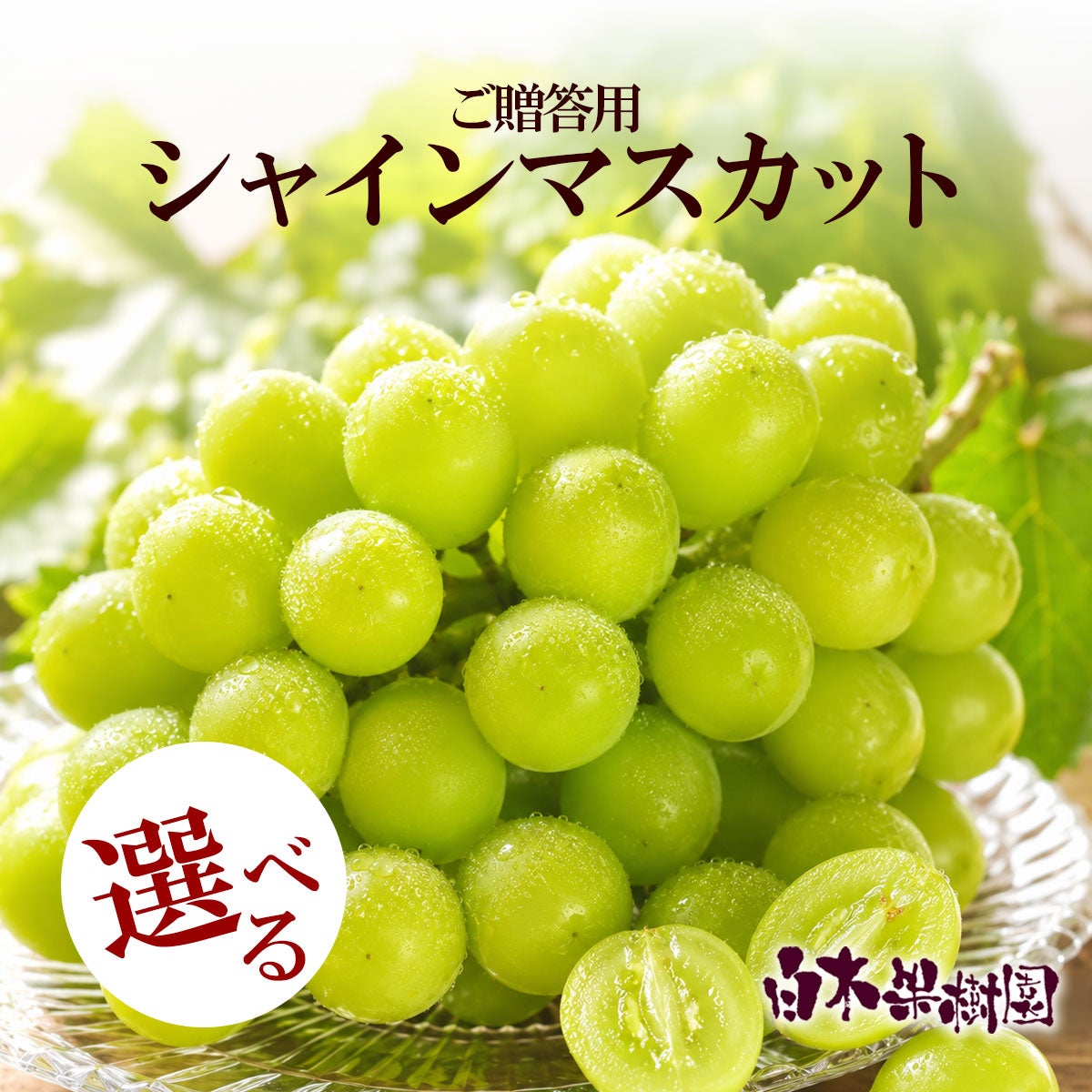 特選秀品シャインマスカット1房 約0.6kg2房 約1.2kg7～10房 約5kg