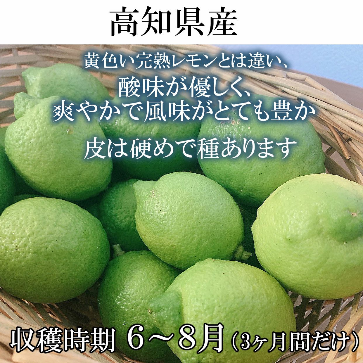 訳あり】【数量限定】高知県産グリーンレモン 約1.5kg・2.5kg・5kg