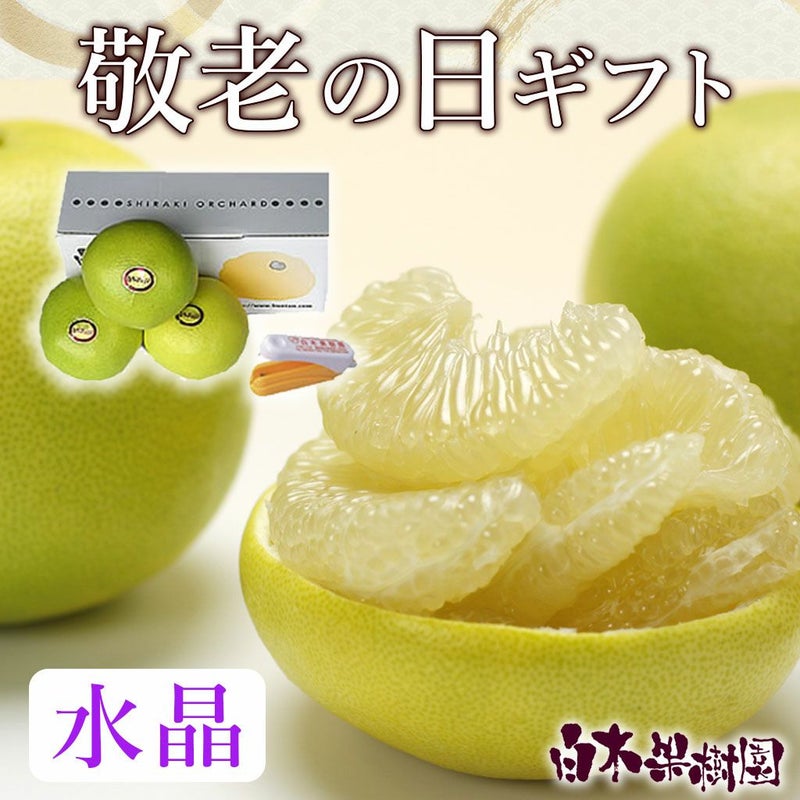 敬老の日ギフト　水晶文旦