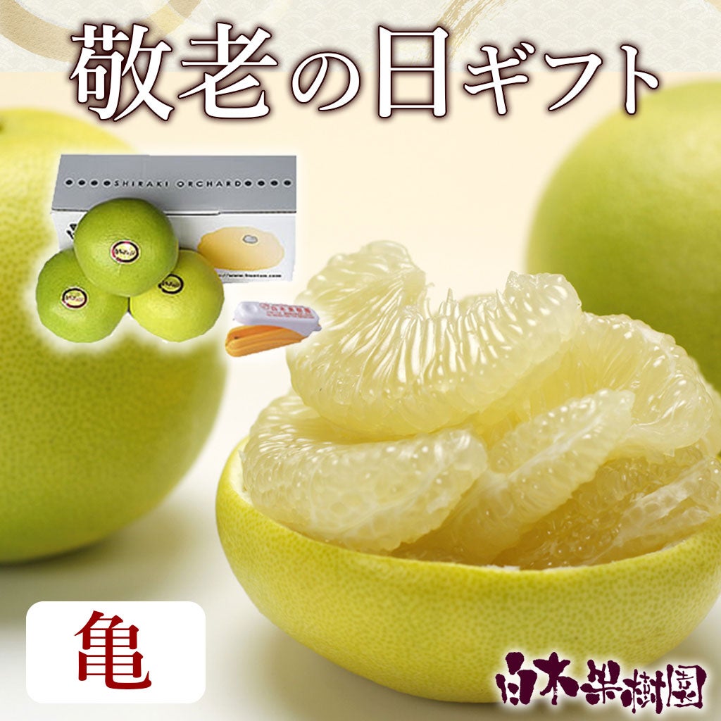 敬老の日ギフト　水晶文旦