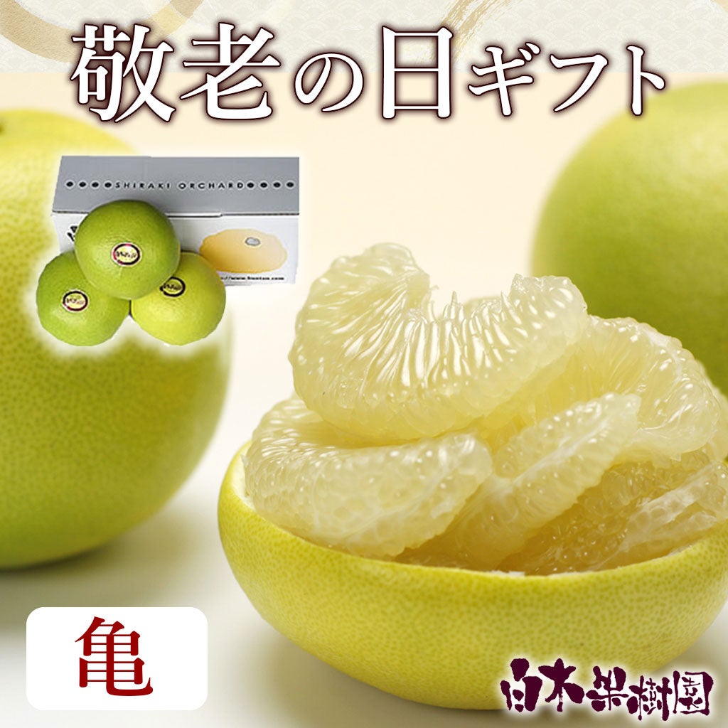 敬老の日ギフト　水晶文旦