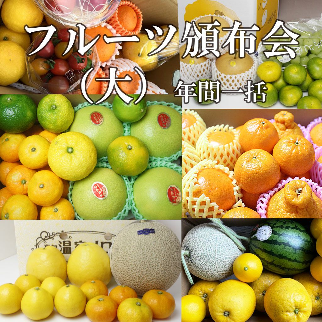 フルーツ定期便（頒布会）【大】【年間一括】【送料込】 | 白木果樹園