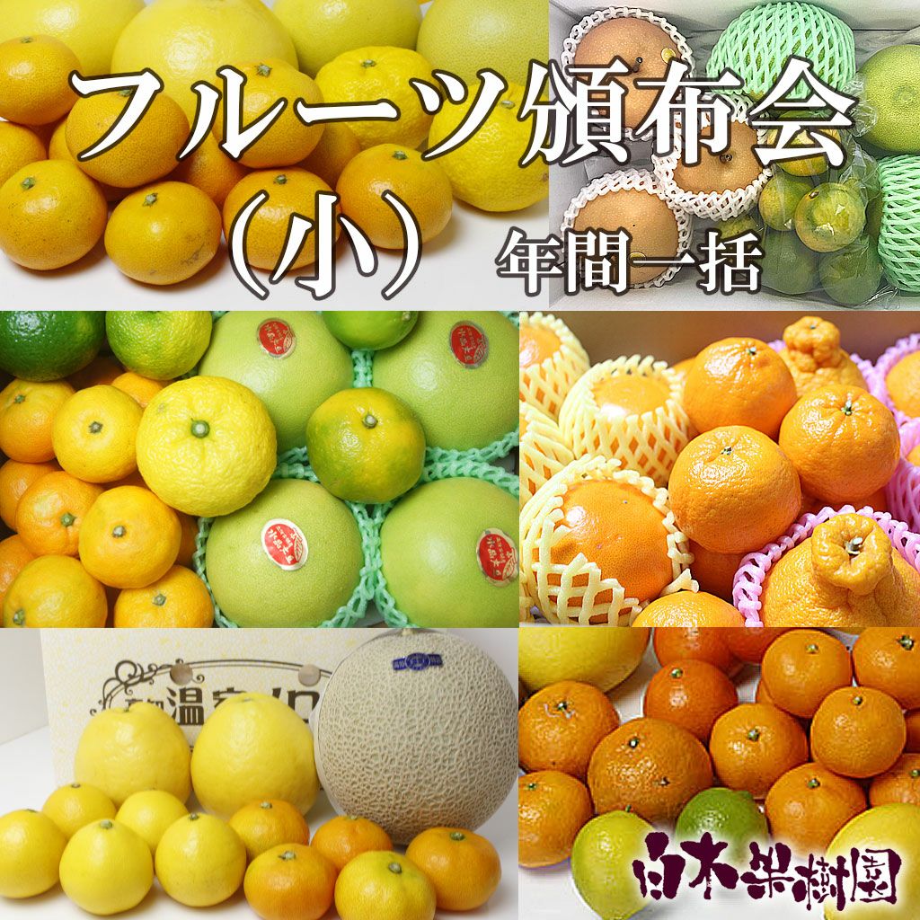 フルーツ定期便（頒布会）【小】【年間一括】【送料込】 | 白木果樹園
