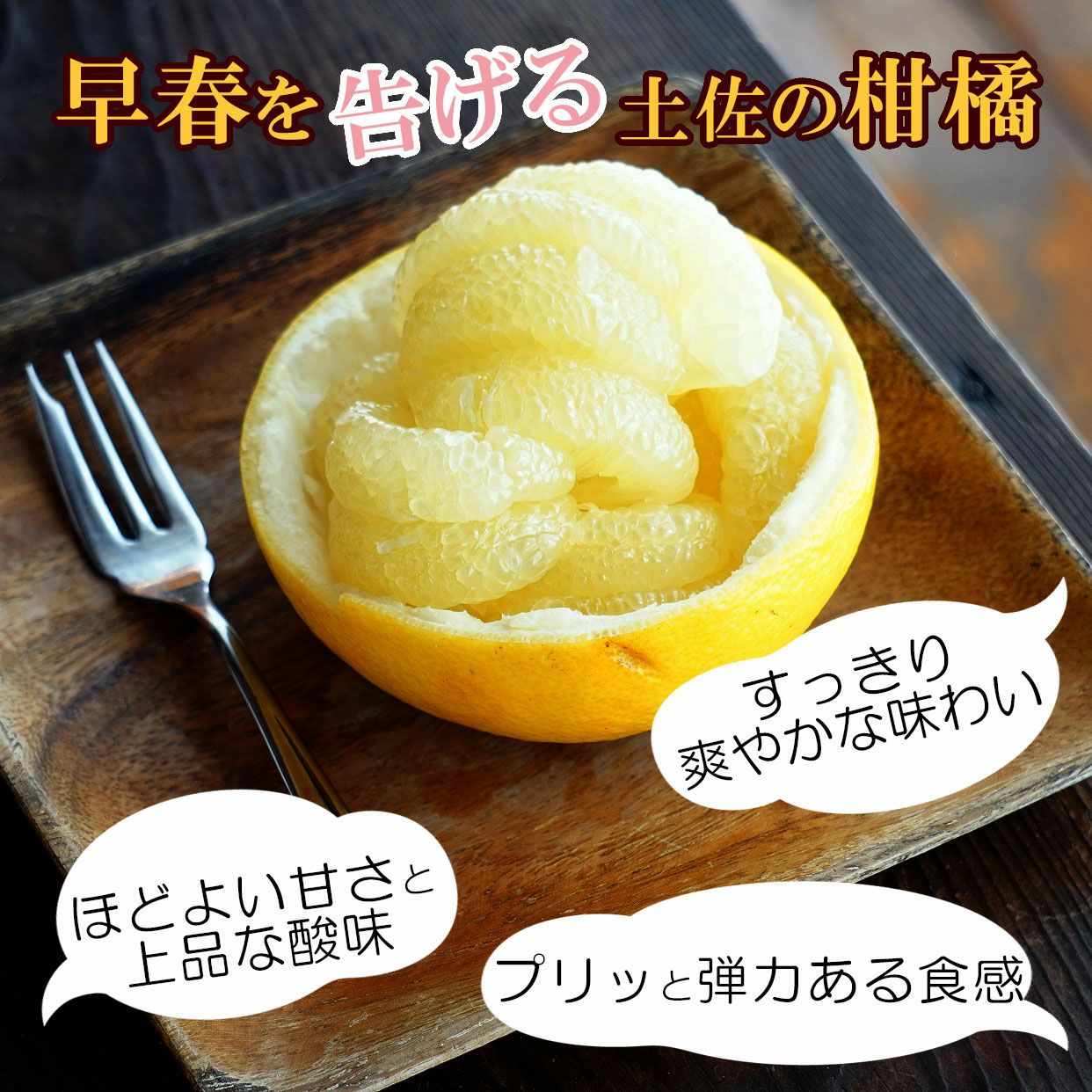 高知県産 土佐文旦大玉 訳ありB級品10kg 3L～2Lサイズ【送料込