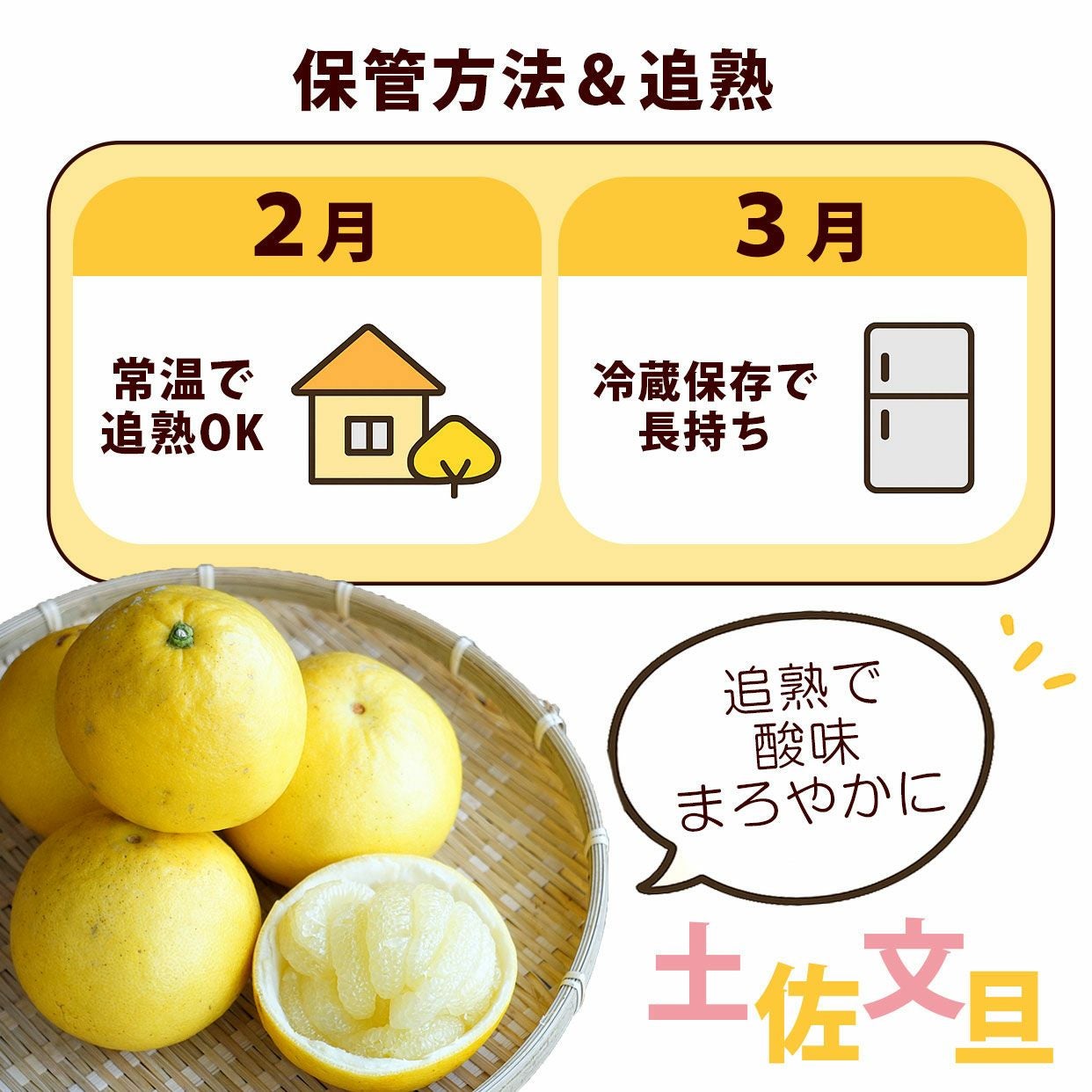 高知県産 土佐文旦大玉 訳ありB級品10kg 3L～2Lサイズ【送料込