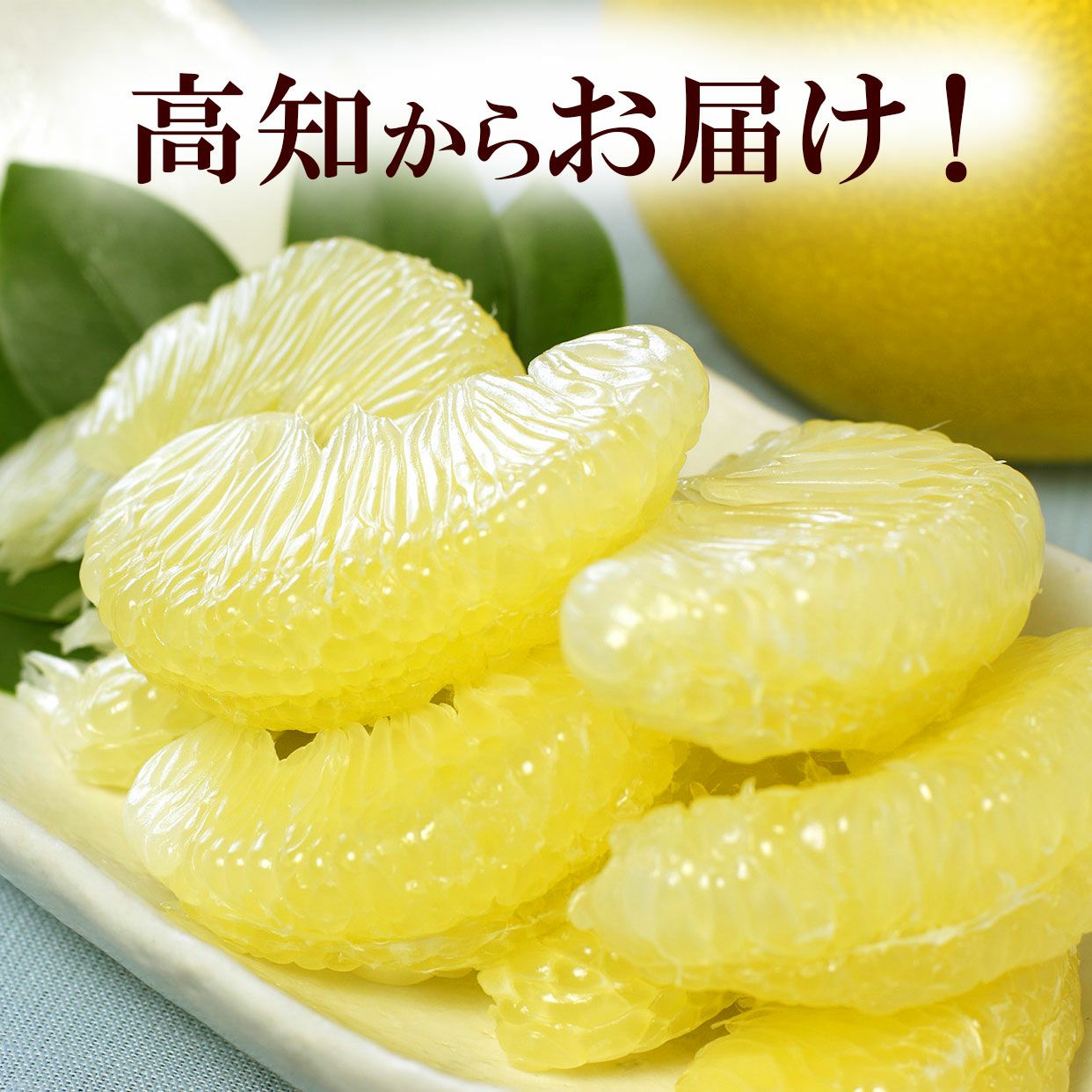 高知県産 土佐文旦大玉 訳ありB級品10kg 3L～2Lサイズ【送料込