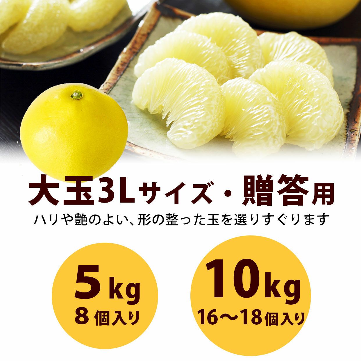 高知県産 土佐文旦大玉 ご贈答用3Lサイズ5kg、10kg【送料込】 | 白木果樹園