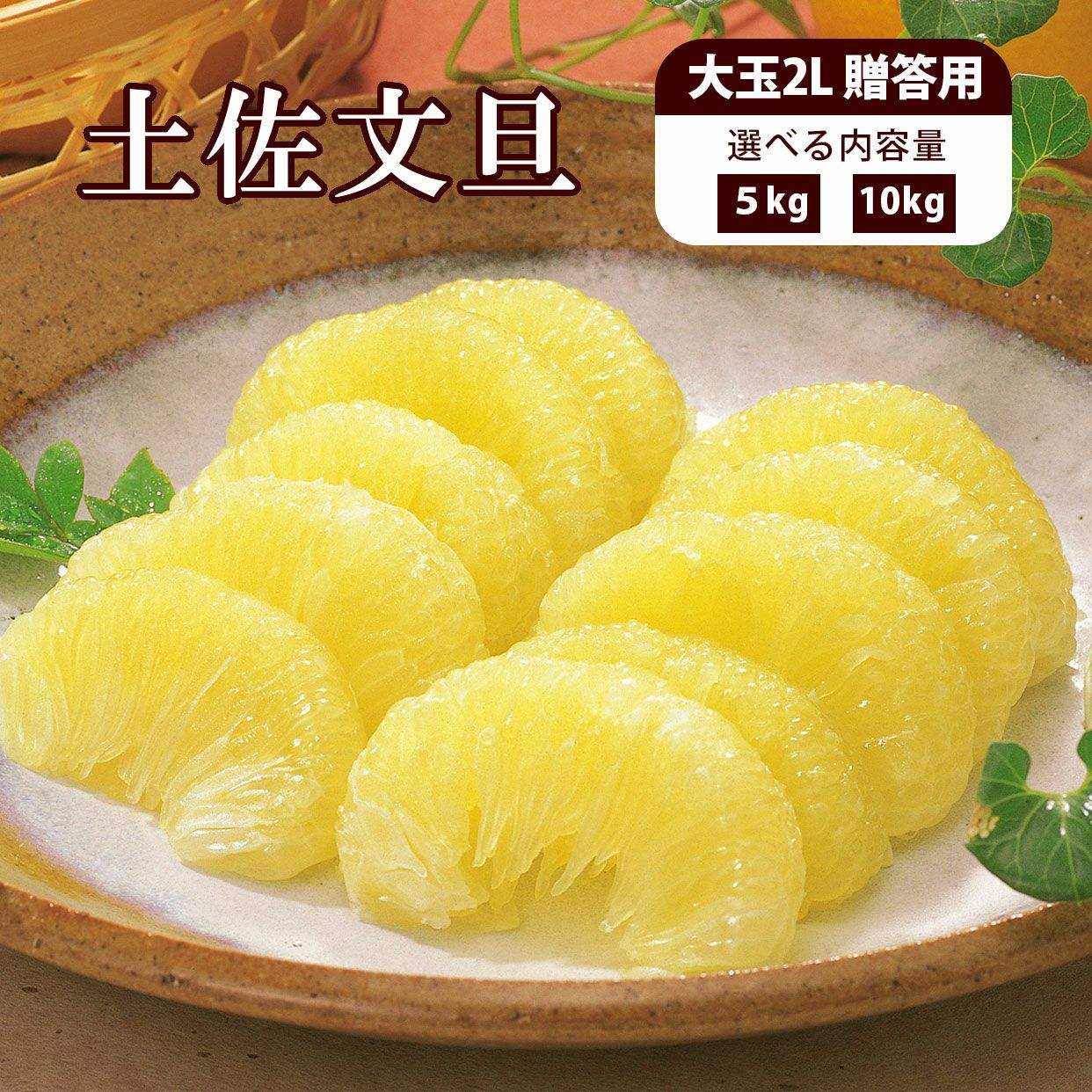 高知県産 土佐文旦大玉 ご贈答用2Lサイズ5kg、10kg【送料込】 | 白木果樹園