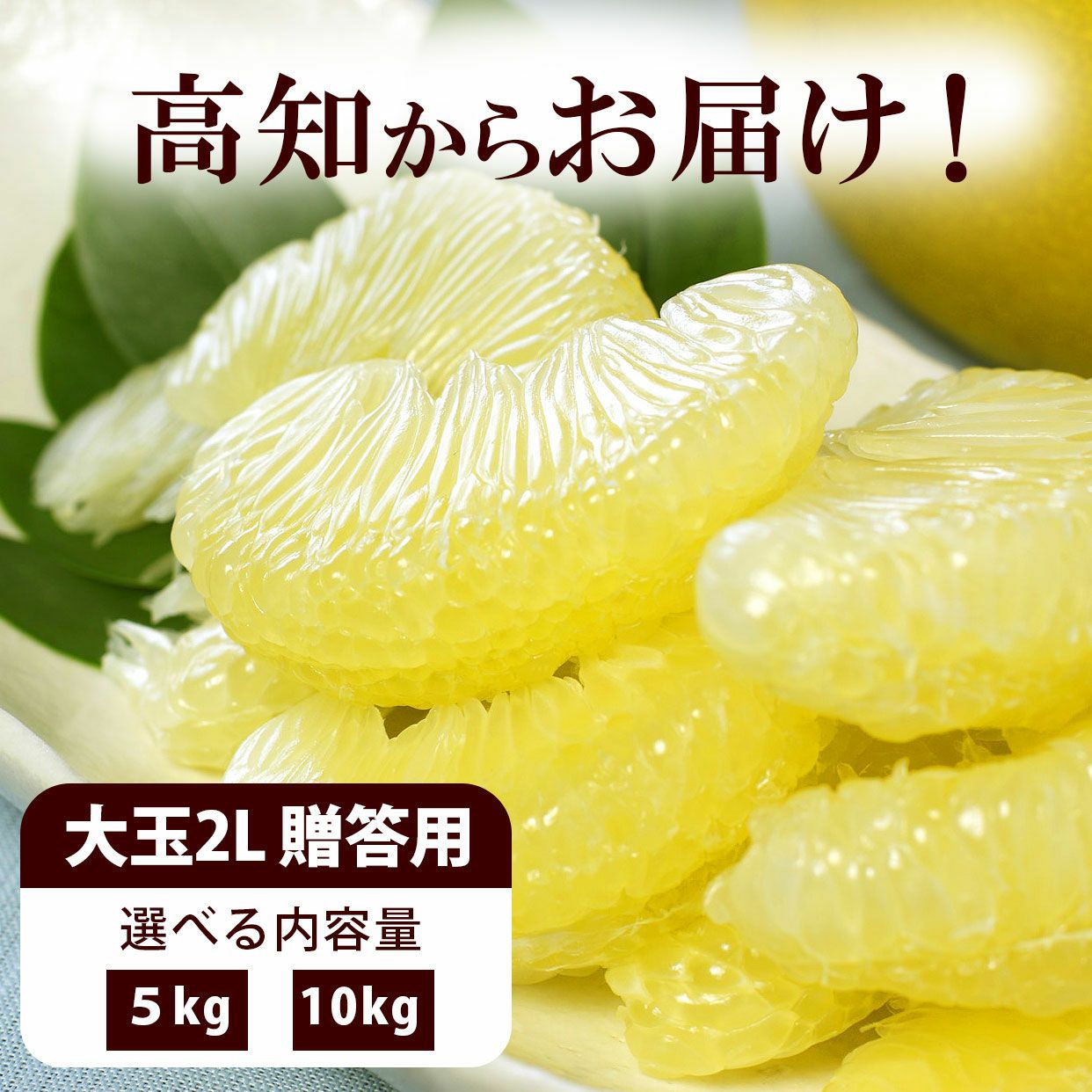 高知県産 土佐文旦大玉 ご贈答用2Lサイズ5kg、10kg【送料込】 | 白木果樹園