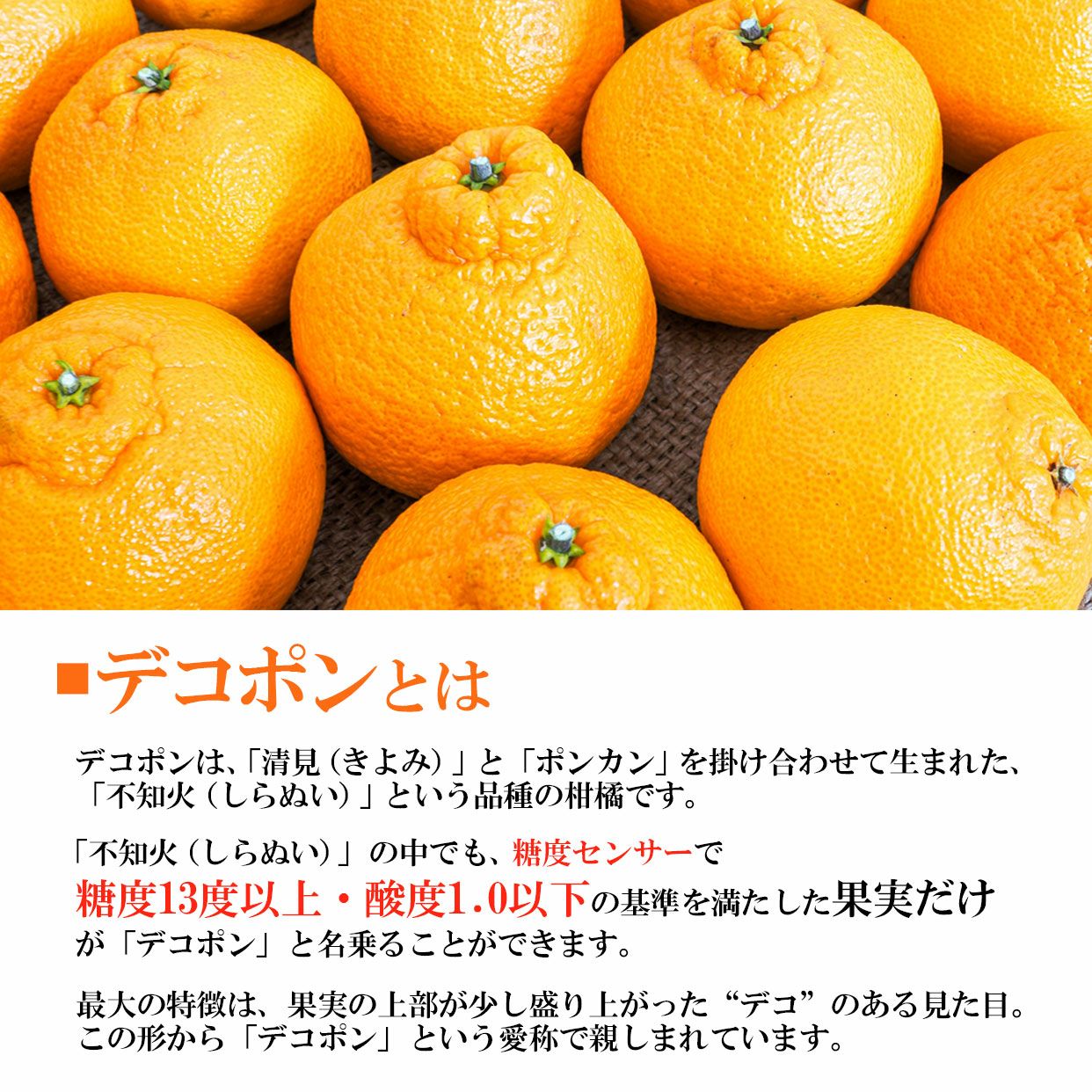 デコポン（でこぽん）特選秀品 ご贈答用約3kg【なごりフルーツ】【送料