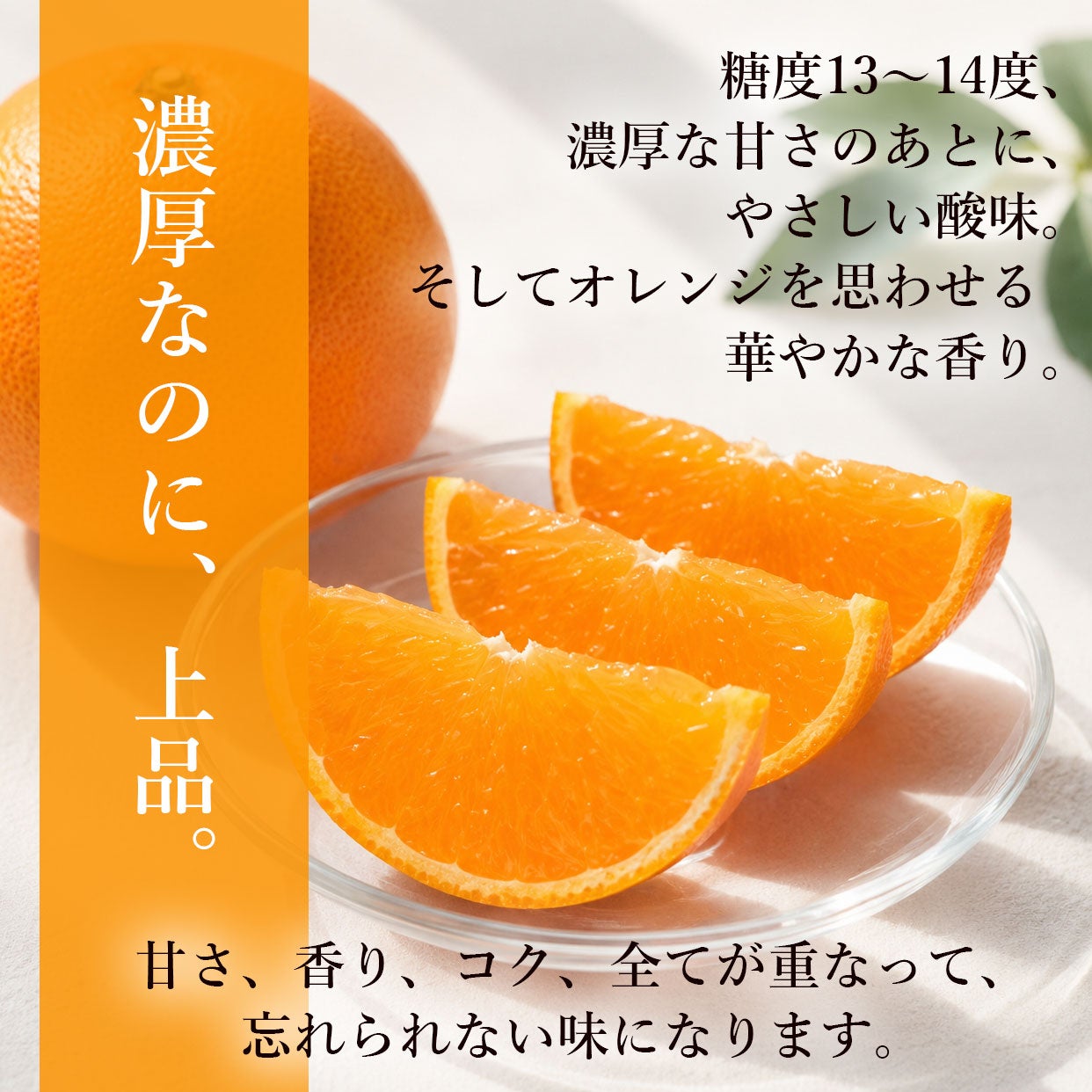 000000000624-04.jpg?size=l&w=