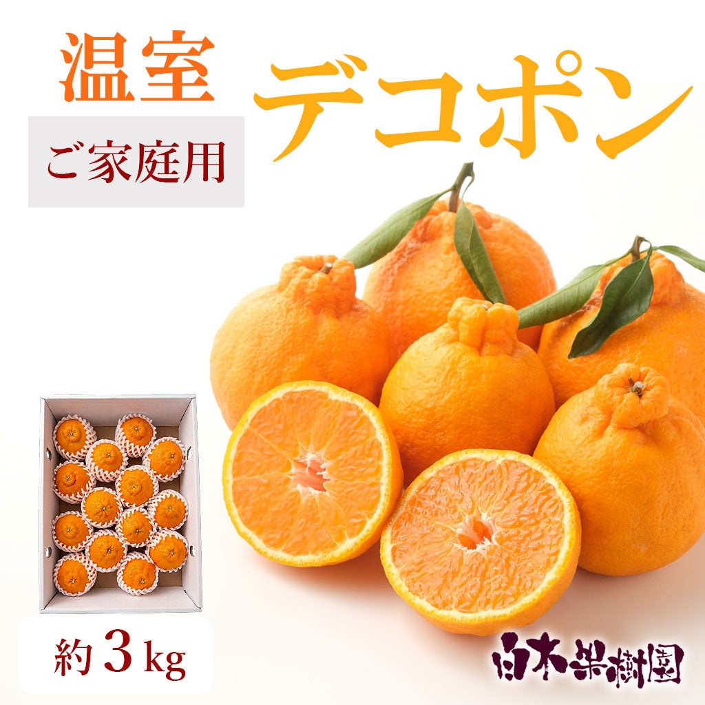 しらぬい（不知火）
