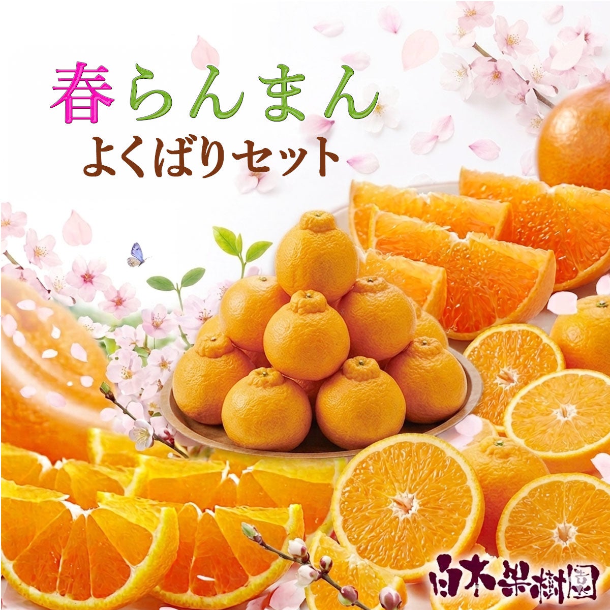 くりーむ　　　せとか せとか